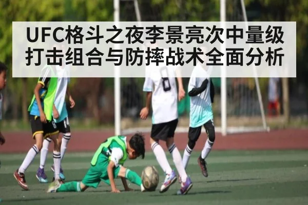 UFC格斗之夜李景亮次中量级打击组合与防摔战术全面分析